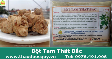 bột-tam-thất-bắc
